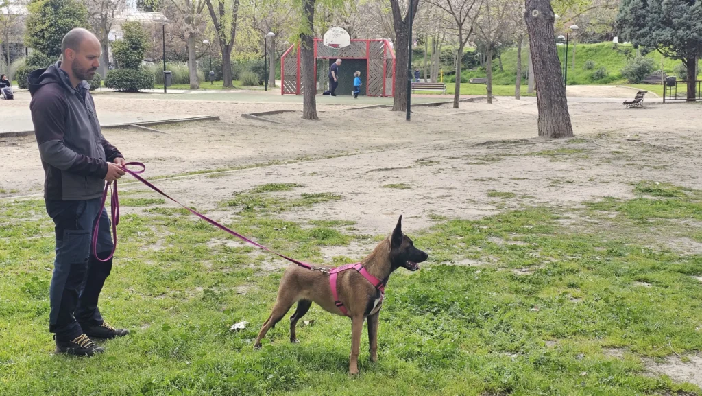 Esteban Navas Educador Canino